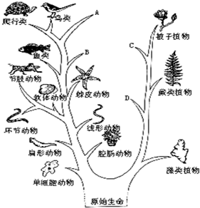 两树四枝八环绕 三五来码引六合 打一生肖，构建解答解释落实_v679.50.58